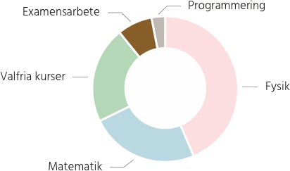 Cirkeldiagram över programmets innehåll.