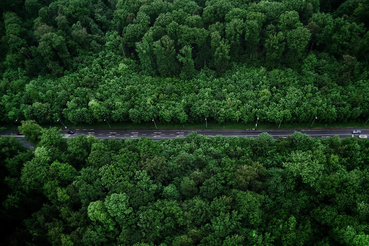 Klimatvandra med forskare och konstnärer